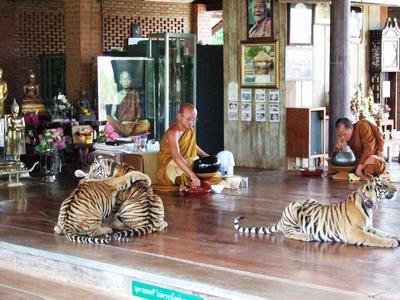 Templo del Tigre Tailandia 09